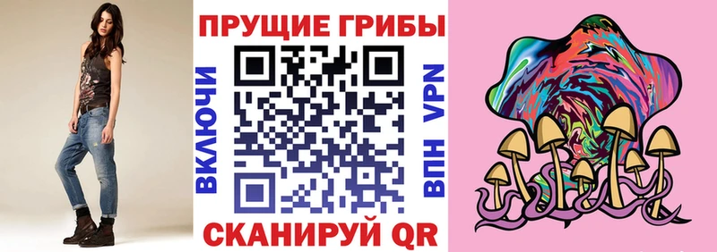 Галлюциногенные грибы Psilocybine cubensis  Чебоксары 