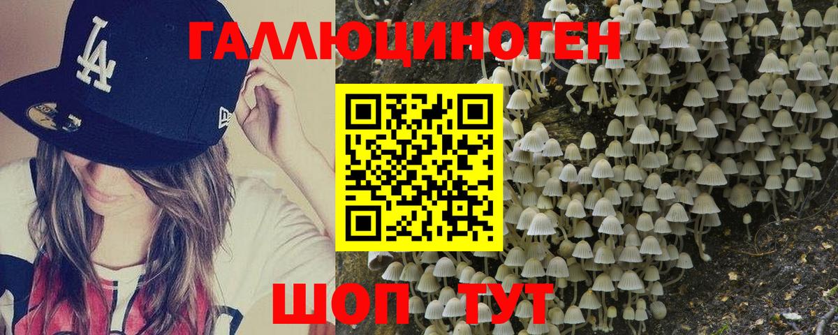 Псилоцибиновые грибы Psilocybine cubensis  Вход с VPN  как найти закладки  Чебоксары 